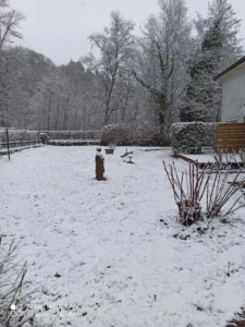 Schnee